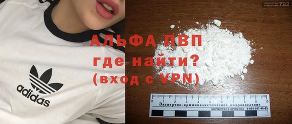 гидра Новозыбков