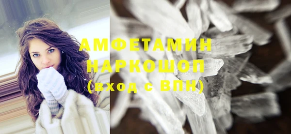 гидра Новозыбков