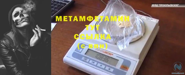 гидра Новозыбков