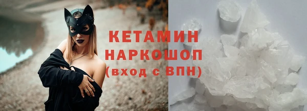 гидра Новозыбков