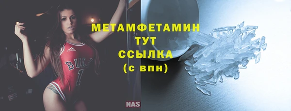 гидра Новозыбков