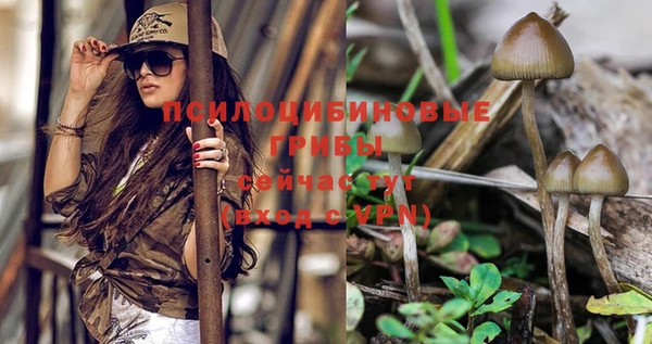 гашиш Новокубанск