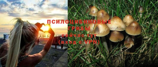 гашиш Новокубанск