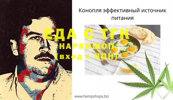 гидра Новозыбков