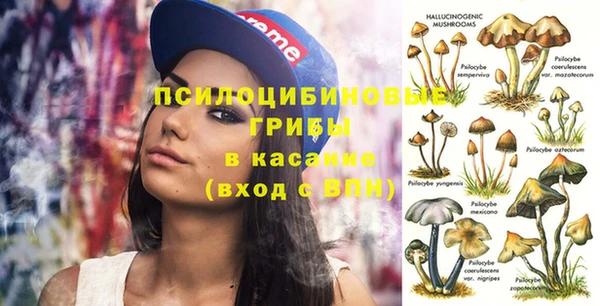 экстази Новодвинск