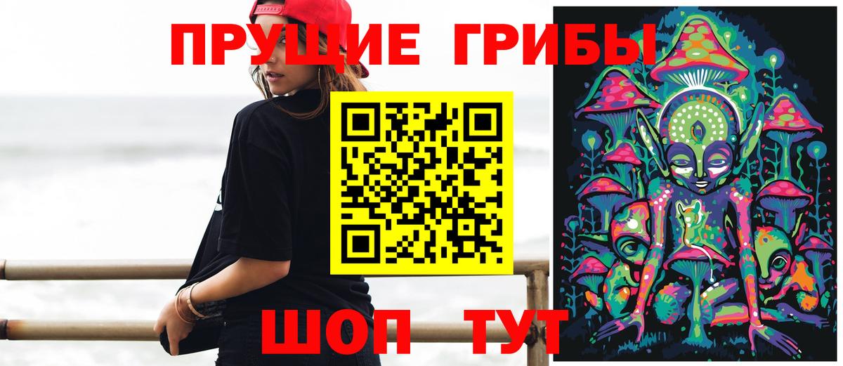 Псилоцибиновые грибы Psilocybe Рославль