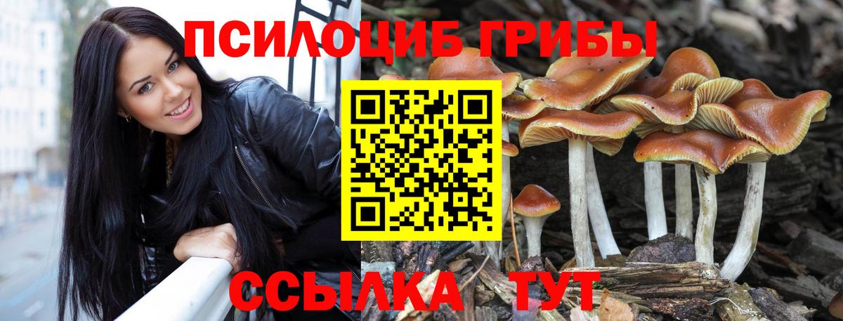 Галлюциногенные грибы Magic Shrooms  Вход с VPN  Рославль  купить   Галлюциногенные грибы Magic Shrooms 